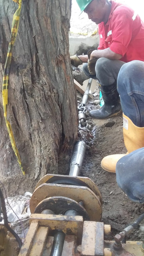 feee2d_0412ddc5ad904f8195a9b5b58dbddb56_mv2