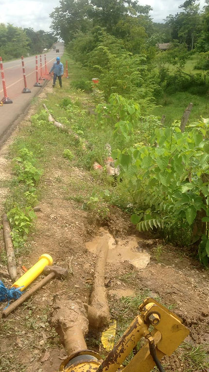 feee2d_0d4cfda6115142a6bb8dcca2ec8e52d4_mv2