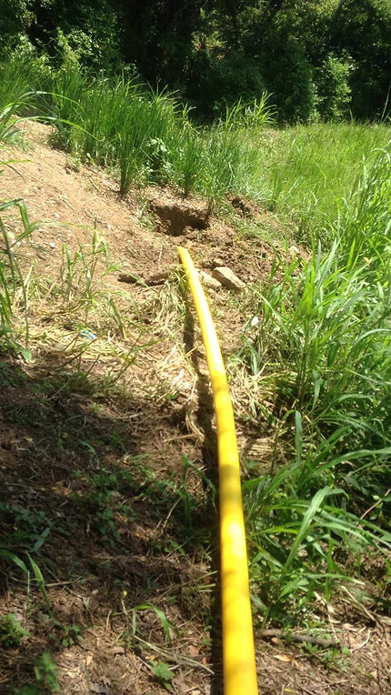 feee2d_1ebc0cbea2d74be192562af45b385383_mv2