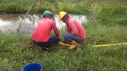 feee2d_1f175e5574d74448a1205a73c7a0fce3_mv2