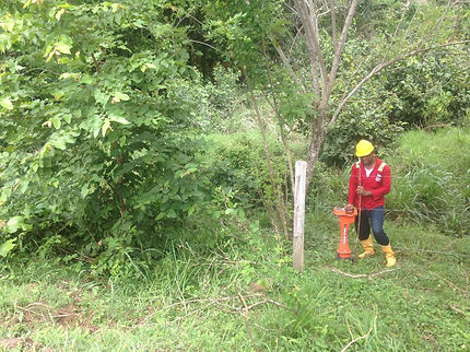 feee2d_2838e8ae52154d65a2e8a6b711954c3a_mv2