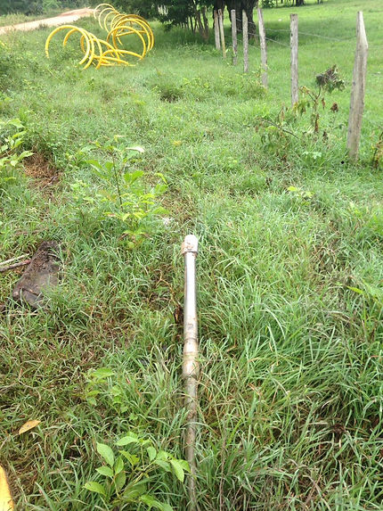 feee2d_2bcb77a1535644bb857995238014911b_mv2