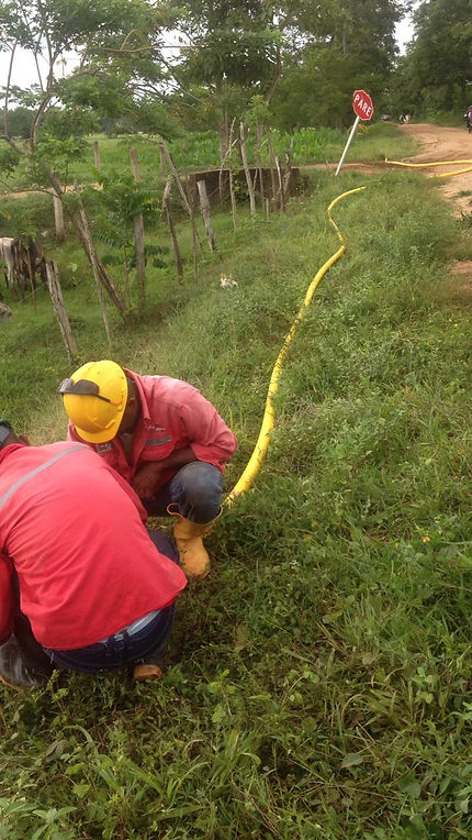 feee2d_34793f60b5684280b2a882c2caec3ee6_mv2