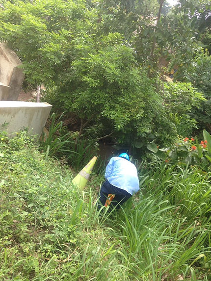 feee2d_37ac6434012d4244b6f1655a433a8085_mv2