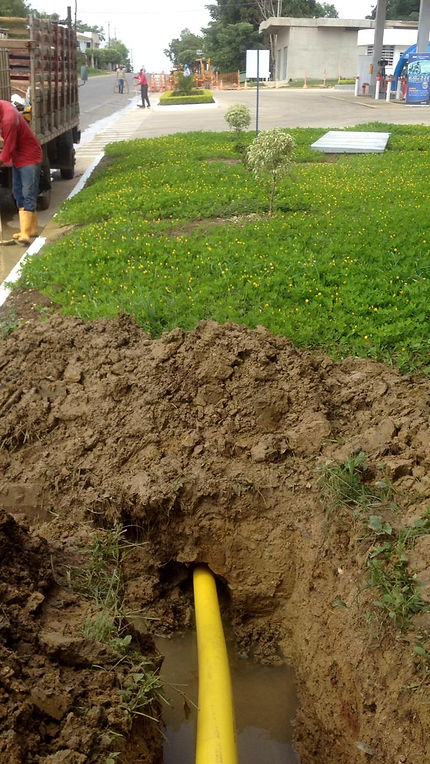 feee2d_45950c50d35c4a87b59765e9cdd0d282_mv2