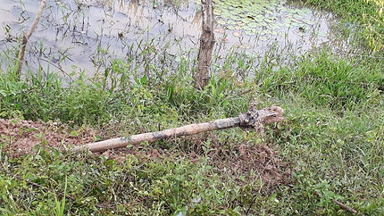 feee2d_4ef23fa031b0450d8b0aea21e92c2873_mv2