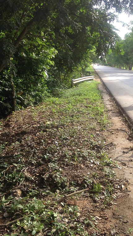 feee2d_5479c95f678a474582a46b8d8e34359b_mv2