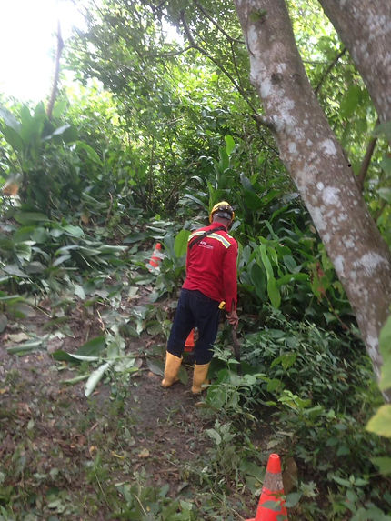 feee2d_5615b5b2d7774ca382d29c2725036a31_mv2