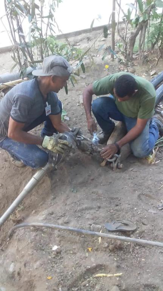 feee2d_5957be5bbd04467f8ff375902e312264_mv2