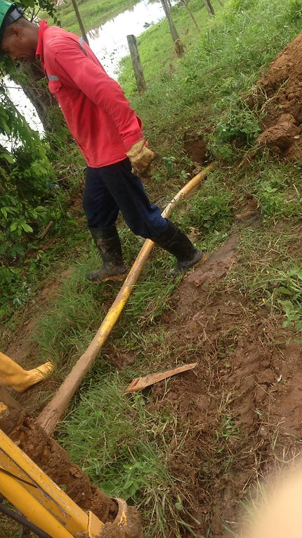 feee2d_664985580931487597cac690f2d26165_mv2