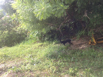 feee2d_6971a68c04504c70a28bfb8832709d9e_mv2