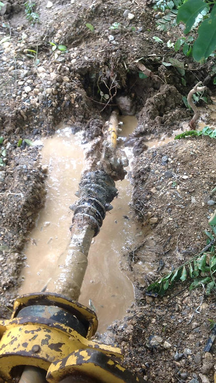 feee2d_699919a02d3e4ff98f2bb78328401dc4_mv2