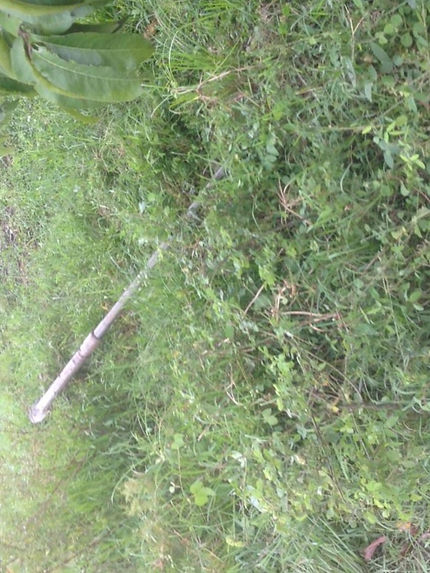 feee2d_76ef59906525450bb9e9f98923bda420_mv2