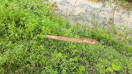 feee2d_7b8a362f4ed1405c80c853de235f3d4e_mv2