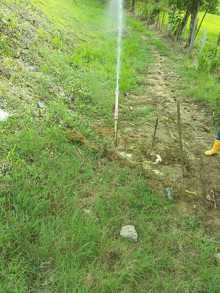 feee2d_8cf7d4c482ce4affa3309aa4f2e4568d_mv2