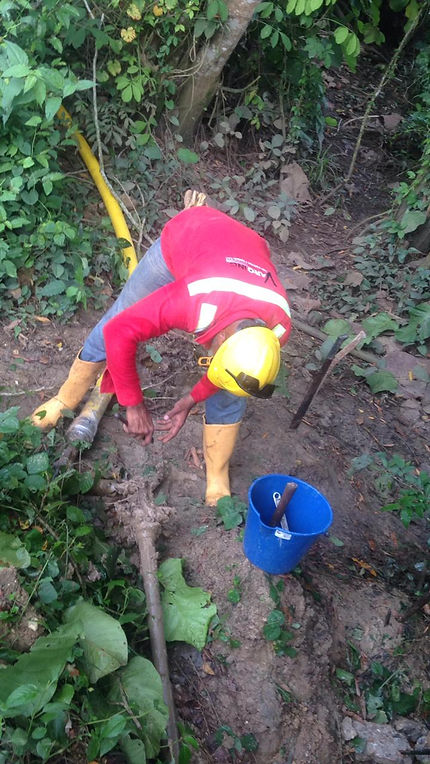 feee2d_932534ed3fd2492f9599b7b629ec421f_mv2