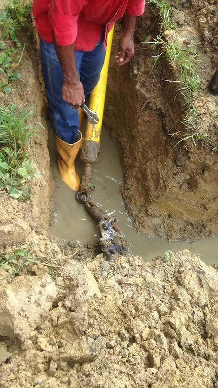 feee2d_a35ad78a6de144a7b0c7c4f1371f604a_mv2