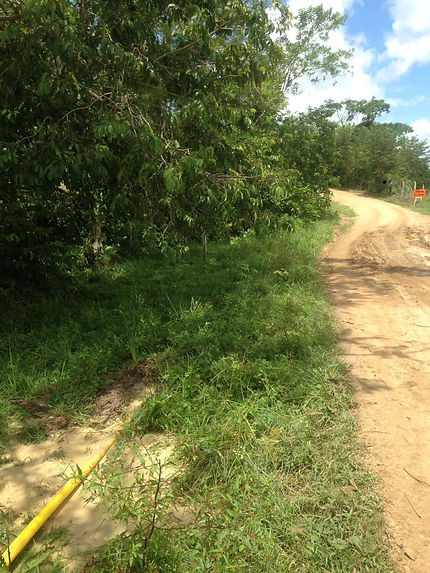 feee2d_a635b407095347a89075076b597b98a1_mv2