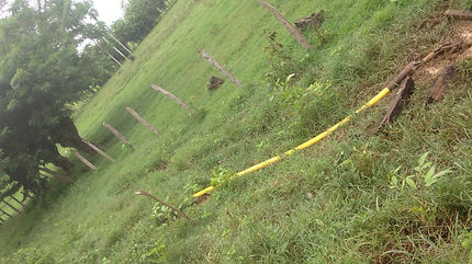 feee2d_ac52a1ddbeb1459090d60f2fc8f7c604_mv2