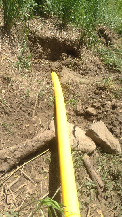 feee2d_ae0bc1c2432942d4aa8a5d9ee8519091_mv2