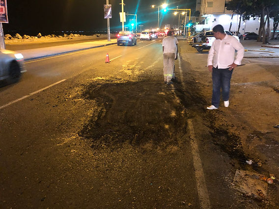 feee2d_b7631180e6c545efb50b944f0bcc457d_mv2