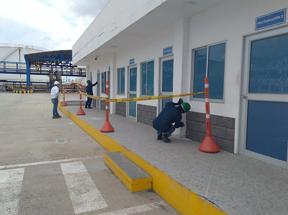 feee2d_b85e06d9d6d644d5bbc199ae087581ac_mv2