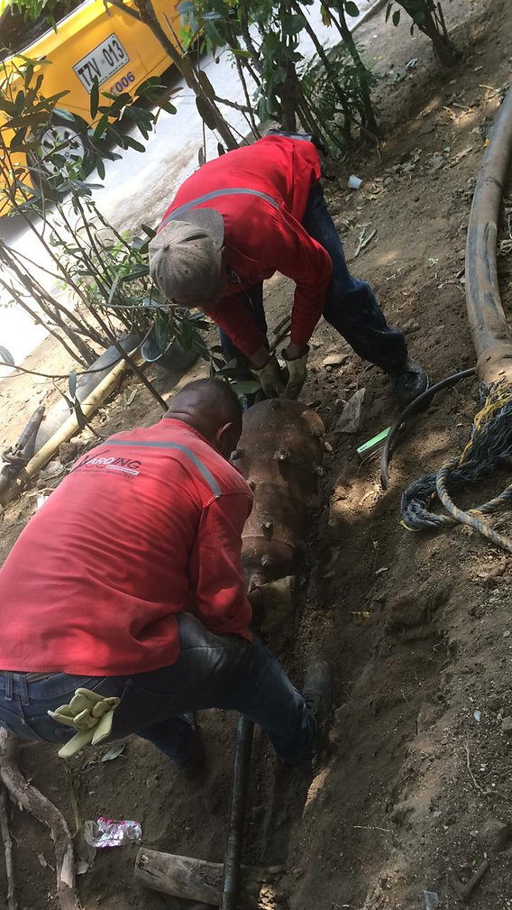 feee2d_c9f08a1bb46b4c1988b243f3c5a88b22_mv2