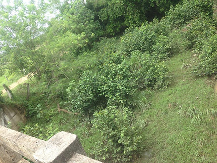 feee2d_cd25f60825d44ba29f0f5f565c666857_mv2