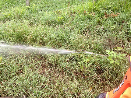 feee2d_d98c7565daab4ad588ea216ecec66d0a_mv2