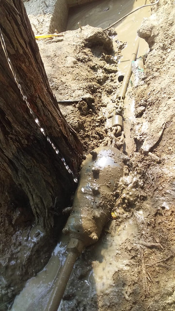 feee2d_dd6ba4d4a0a94305add4a65c39d8b49a_mv2