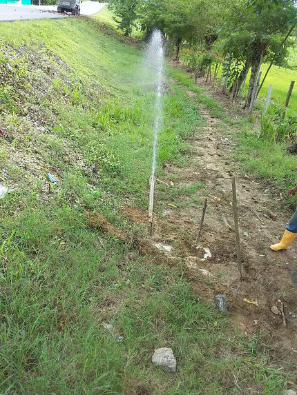 feee2d_e9e662ff04b941568eca897e75c114cf_mv2